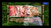 İsarTV.com: Islam şəriətinə əsasən nələr murdar (nəcis) sayılır? (1-ci hissə)